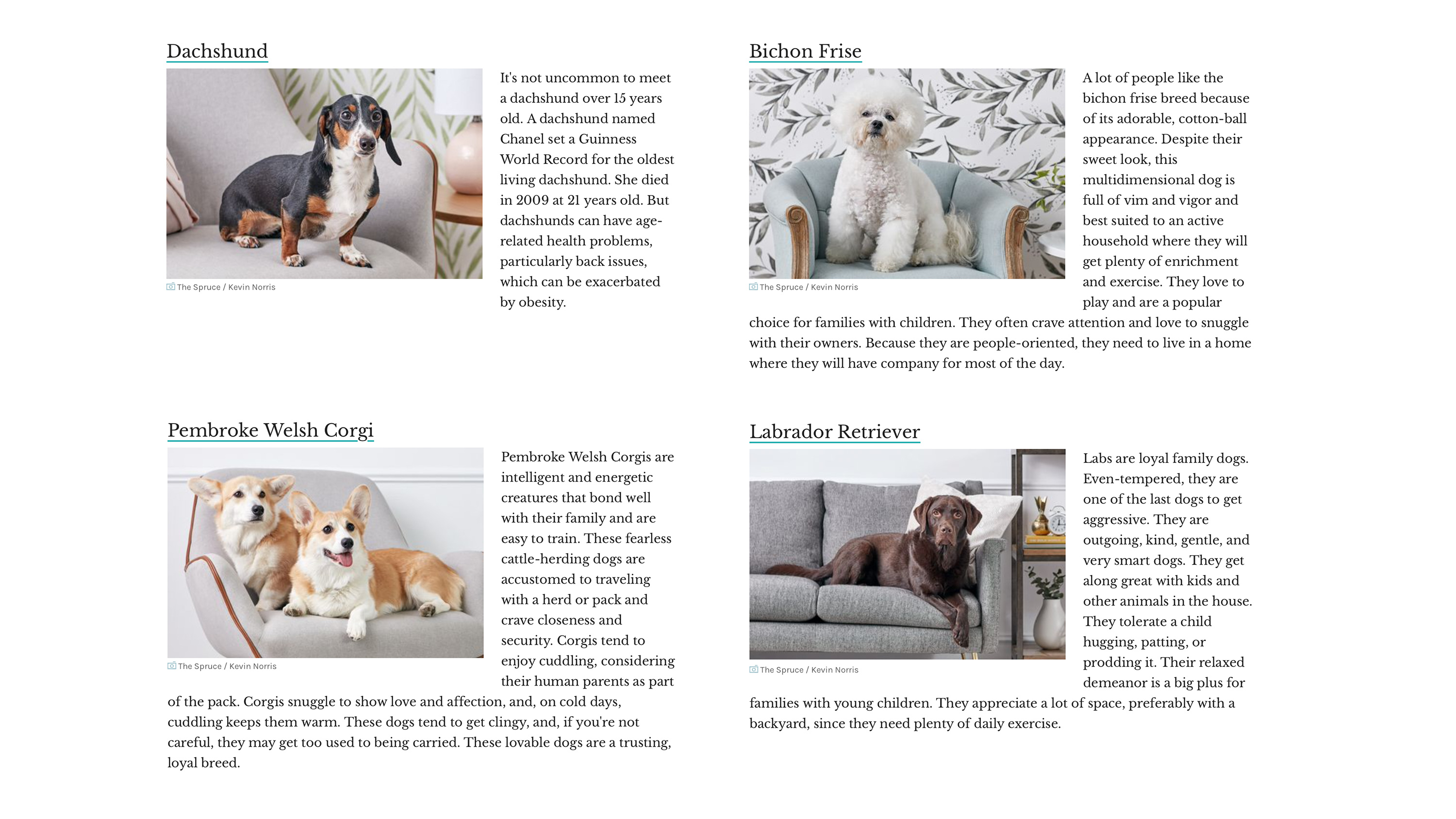 Breed-descriptions